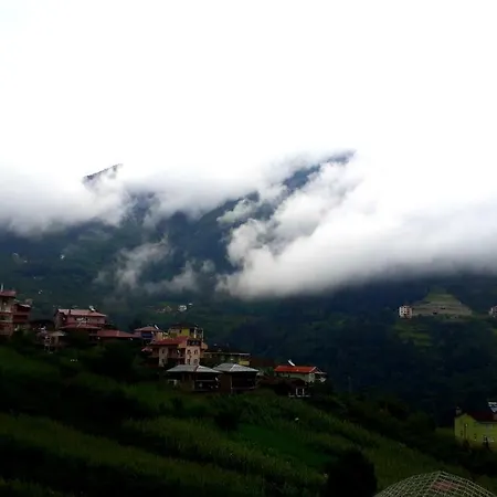 Erdem 公寓式酒店