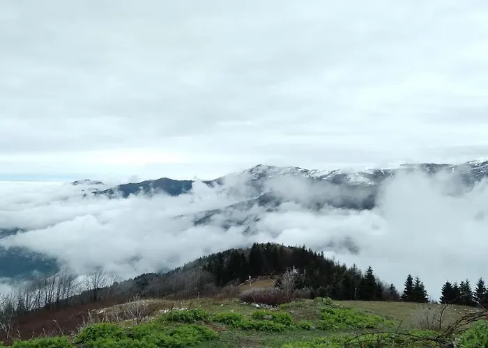 Lägenhetshotell Erdem Trabzon
