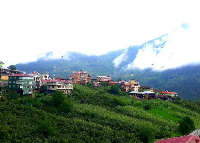 Lägenhetshotell Erdem Trabzon