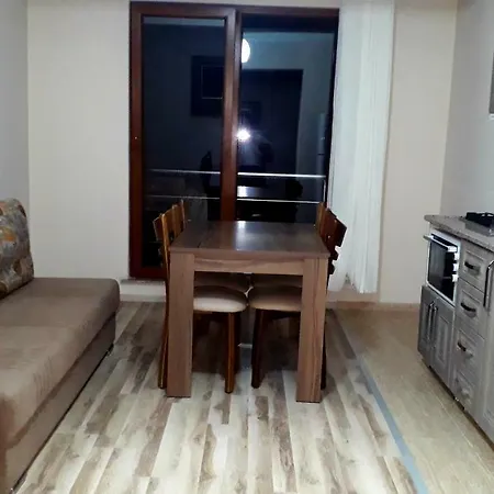 Apart Otel Erdem 4*